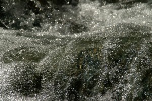 Investigación sobre el Agua